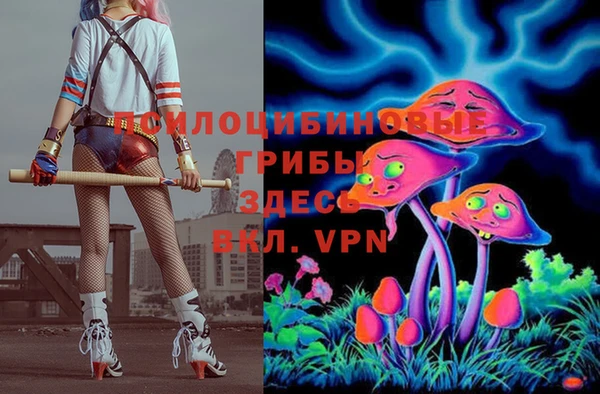 молекула духа Горно-Алтайск