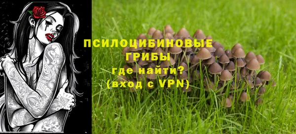 ешки Горняк