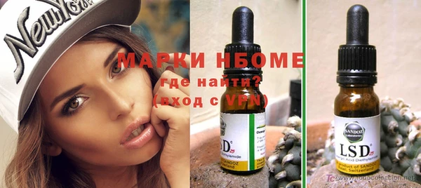 ешки Горняк