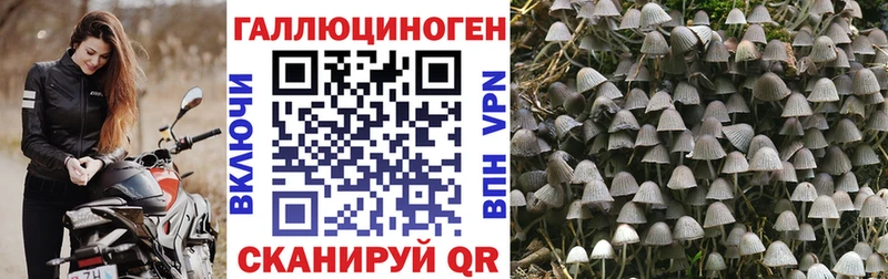 наркошоп  Олёкминск  Псилоцибиновые грибы прущие грибы 